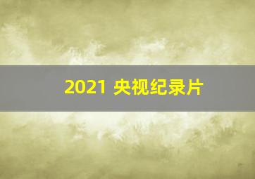 2021 央视纪录片